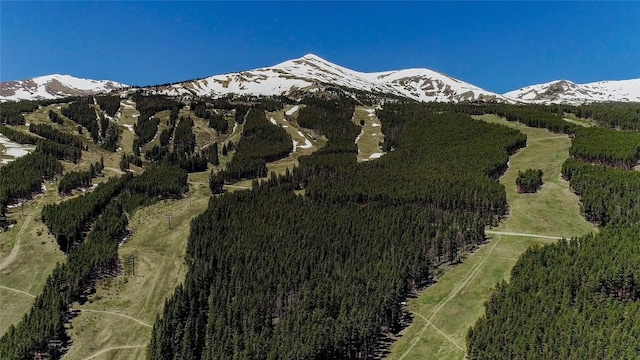 107 Ski Watch Rd Unit 432, Breckenridge, CO 80424 - view of mountain backdrop