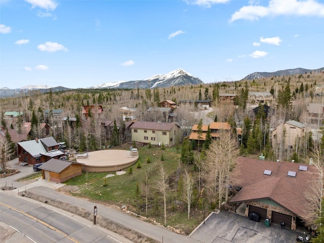 711 Ryan Gulch Rd, Silverthorne, CO 80498