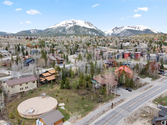 711 Ryan Gulch Rd, Silverthorne, CO 80498