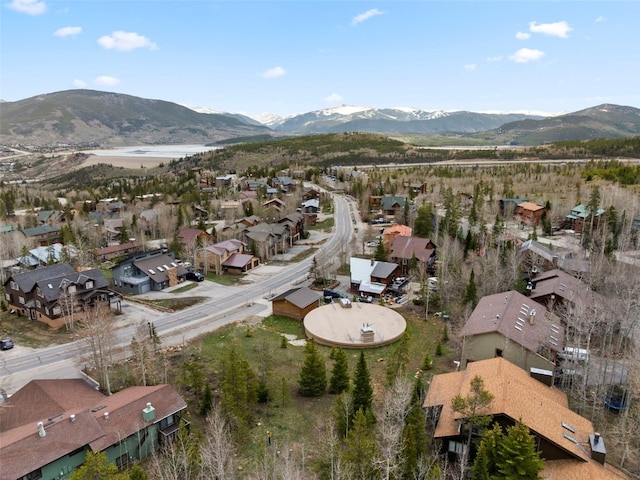 711 Ryan Gulch Rd, Silverthorne, CO 80498