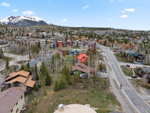 711 Ryan Gulch Rd, Silverthorne, CO 80498
