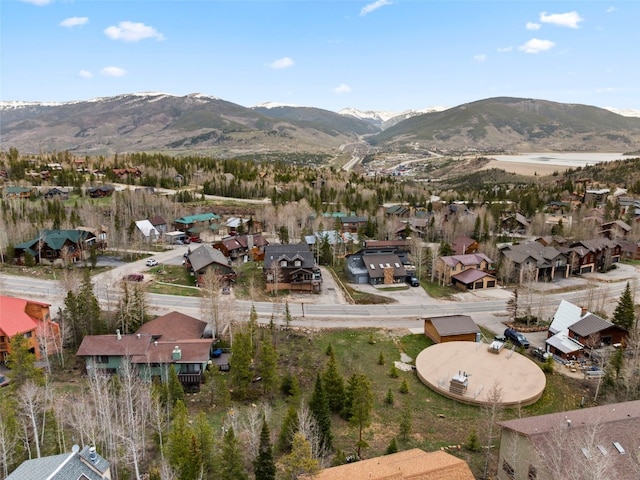 711 Ryan Gulch Rd, Silverthorne, CO 80498