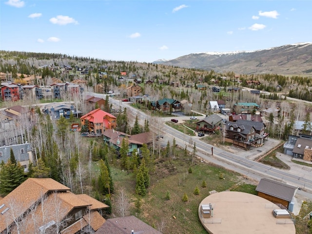711 Ryan Gulch Rd, Silverthorne, CO 80498