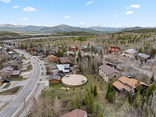 711 Ryan Gulch Rd, Silverthorne, CO 80498