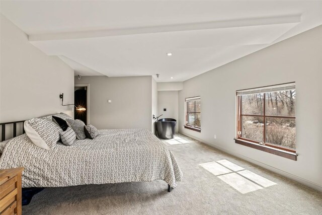 1900 Bridge Ln Unit 6, Steamboat Springs, CO 80487 - photo 27