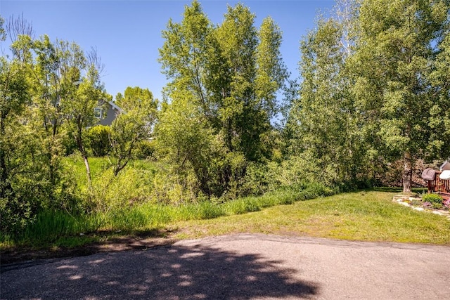 14 Redwood Ct Unit 14, Steamboat Springs, CO 80487 - view of road
