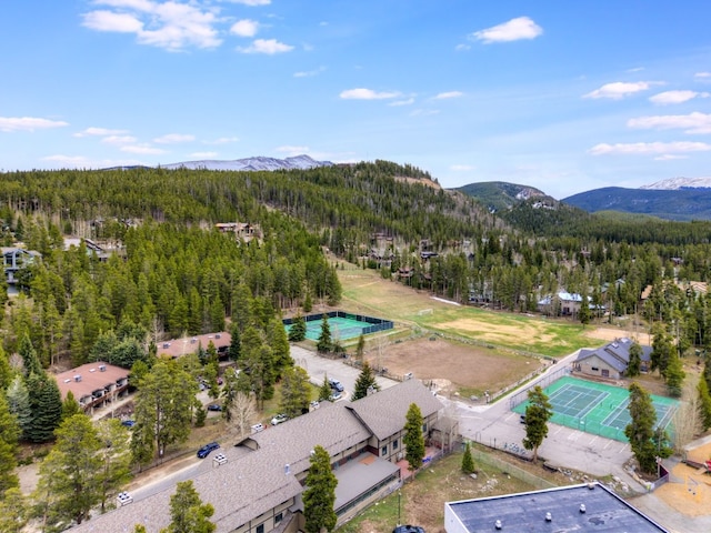 311 S High St Unit 108, Breckenridge, CO 80424 - bird's eye view of a forest and a mountain backdrop