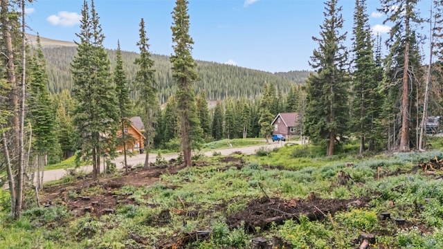249 Lee Ln, Breckenridge, CO 80424 - photo 14