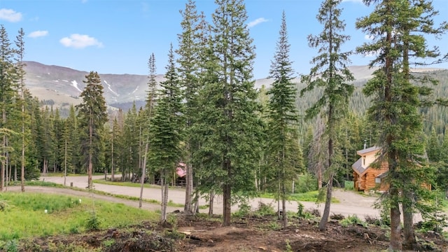 249 Lee Ln, Breckenridge, CO 80424 - photo 8