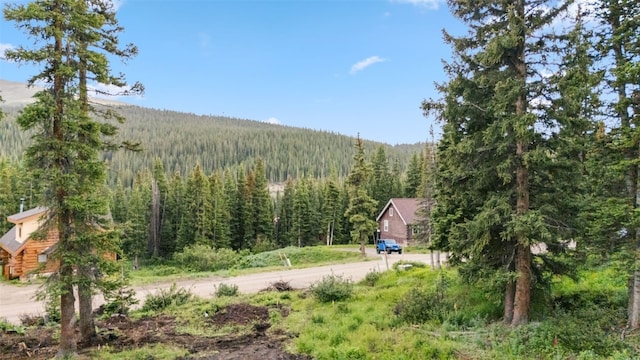 249 Lee Ln, Breckenridge, CO 80424 - photo 7