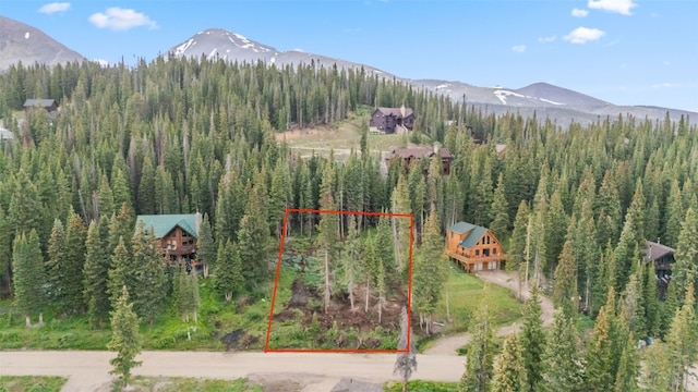 249 Lee Ln, Breckenridge, CO 80424 - photo 1