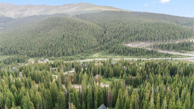 249 Lee Ln, Breckenridge, CO 80424 - photo 6