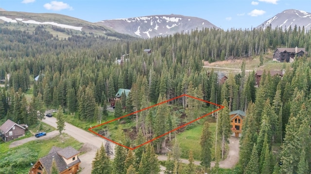 249 Lee Ln, Breckenridge, CO 80424 - photo 2