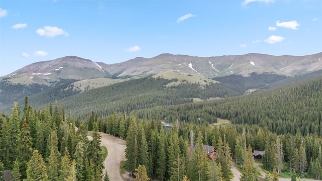 249 Lee Ln, Breckenridge, CO 80424 - photo 11
