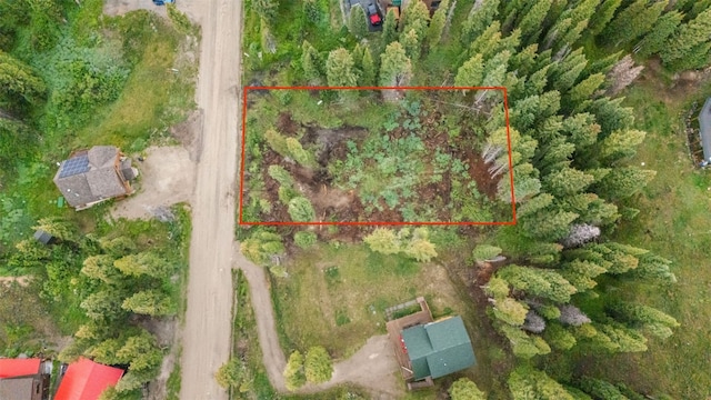 249 Lee Ln, Breckenridge, CO 80424 - photo 4