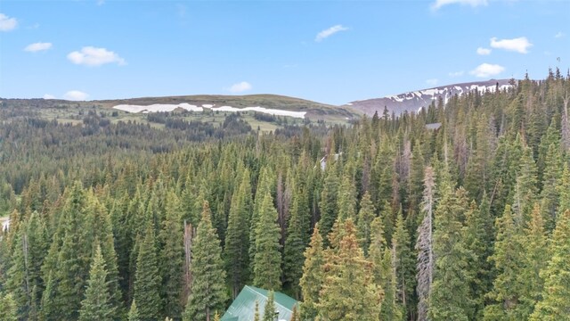 249 Lee Ln, Breckenridge, CO 80424 - photo 10