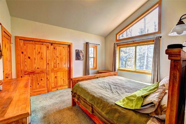 103 War Pony Way, Como, CO 80432 - bedroom with carpet and lofted ceiling