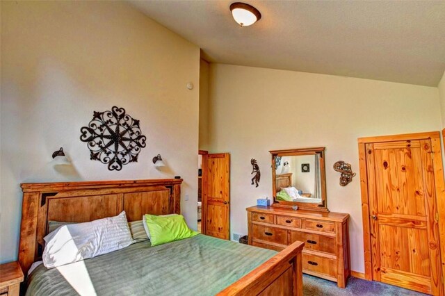 103 War Pony Way, Como, CO 80432 - bedroom featuring lofted ceiling and dark carpet