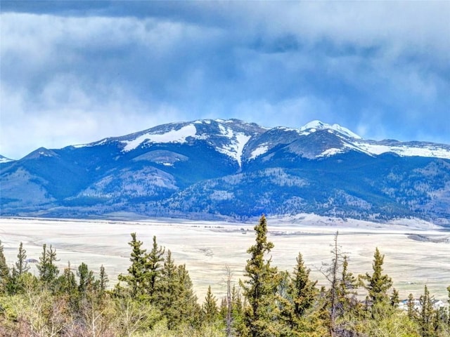 103 War Pony Way, Como, CO 80432 - mountain view