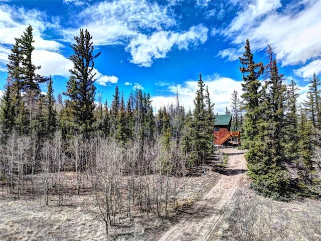 103 War Pony Way, Como, CO 80432 - view of dirt / gravel road