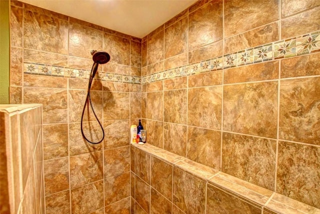 103 War Pony Way, Como, CO 80432 - bathroom view of tiled shower