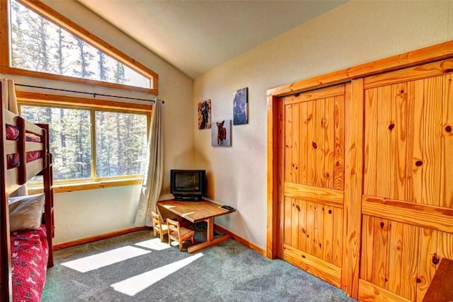103 War Pony Way, Como, CO 80432 - living area with carpet, lofted ceiling, and baseboards