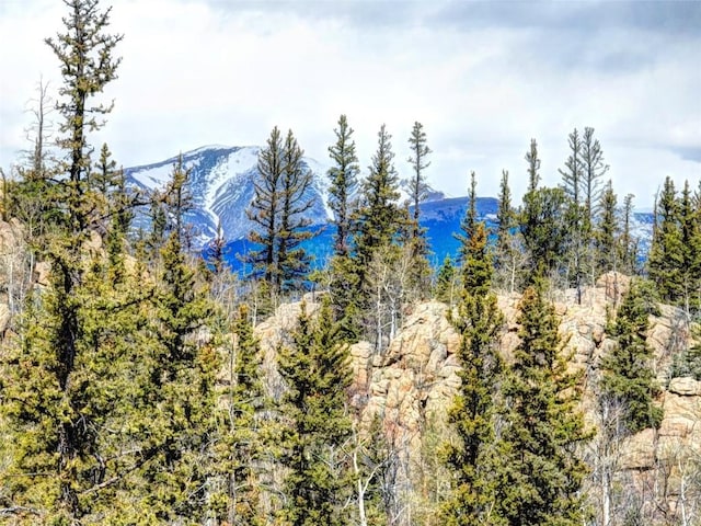 103 War Pony Way, Como, CO 80432 - mountain view featuring a forest