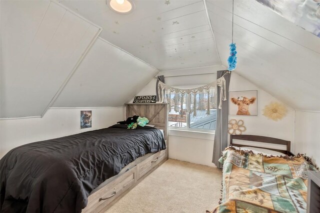 609 E Jefferson Ave, Hayden, CO 81639 - bedroom with carpet flooring and lofted ceiling