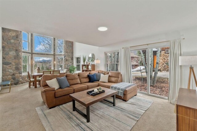 living area featuring light colored carpet