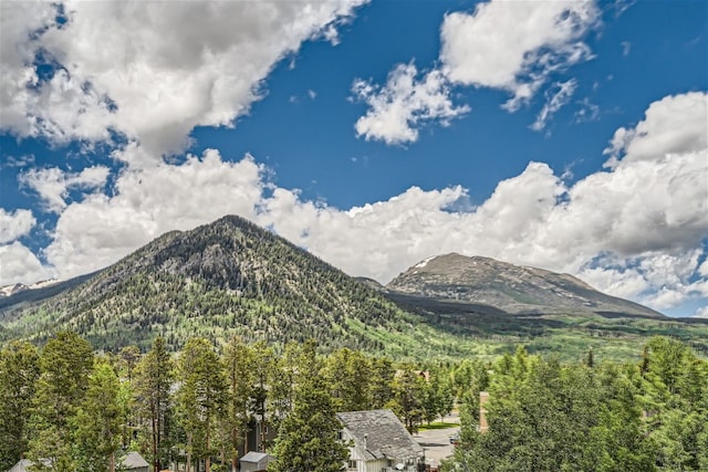 234 Frisco Aly Unit D, Frisco, CO 80443 - view of mountain feature with a view of trees