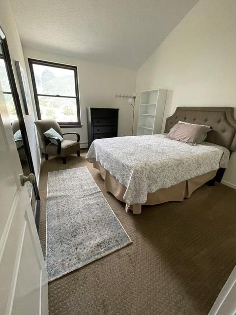 carpeted bedroom featuring lofted ceiling