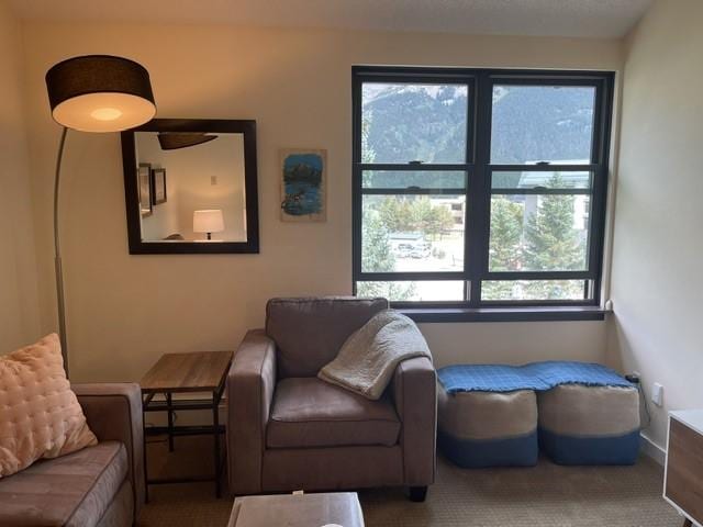 living area featuring carpet floors and baseboards