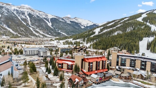 189 Ten Mile Cir Unit 362, Copper Mountain, CO 80443 - property view of mountains