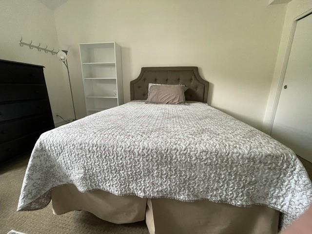 bedroom with a closet and carpet floors