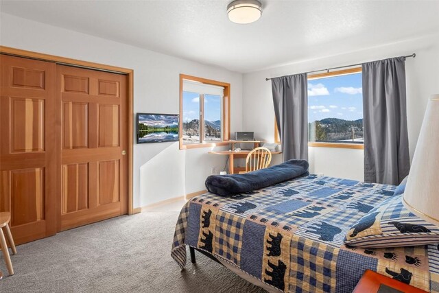 carpeted bedroom with baseboards and multiple windows