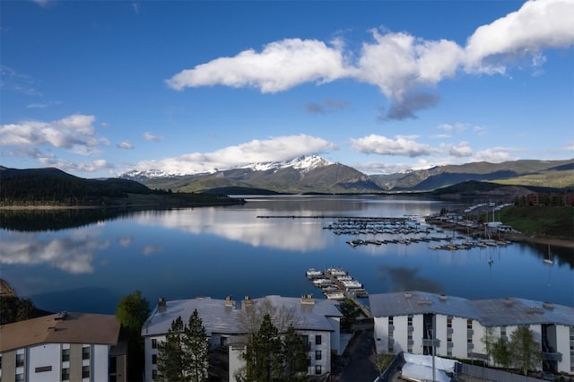 576 Tenderfoot St Unit 163, Dillon, CO 80435 - water view with mountains