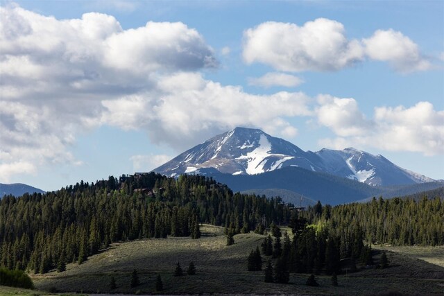 576 Tenderfoot St Unit 163, Dillon, CO 80435 - view of mountain background with a forest