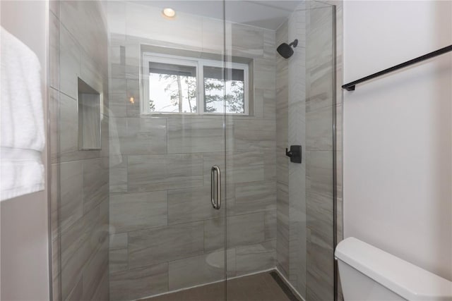 260 N Fuller Placer Rd, Breckenridge, CO 80424 - bathroom featuring toilet and a shower stall