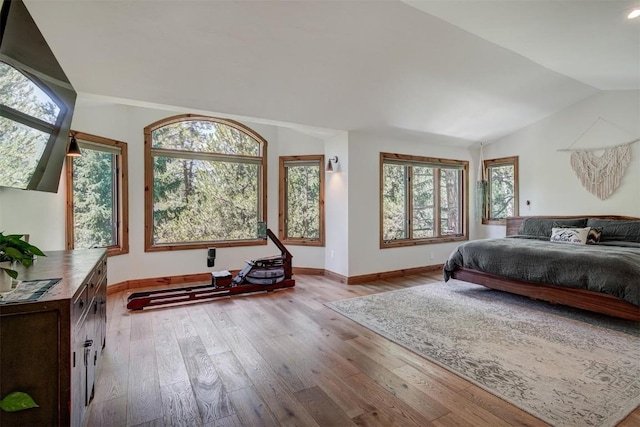 bedroom with vaulted ceiling, hardwood / wood-style floors, baseboards, and multiple windows