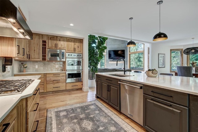 kitchen featuring stainless steel appliances, light wood-style flooring, a sink, decorative backsplash, and exhaust hood