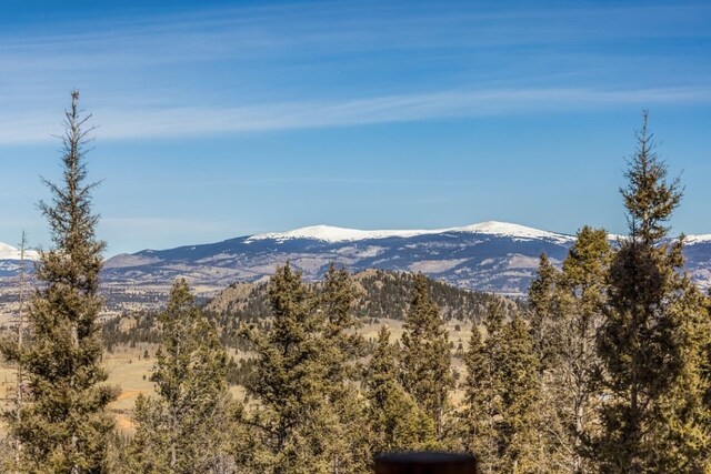 999 Bowstring Rd, Como, CO 80432 - photo 29