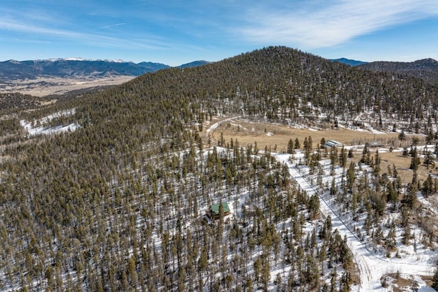 snowy aerial view with a mountain view