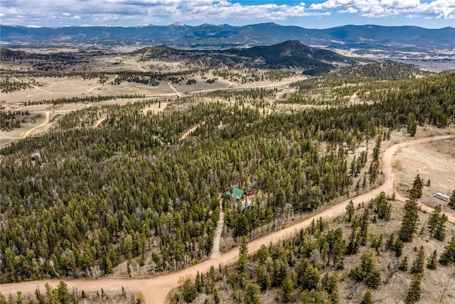 999 Bowstring Rd, Como, CO 80432 - photo 38
