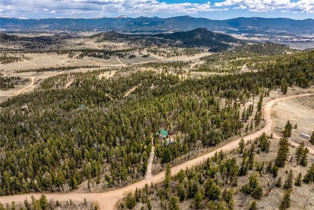999 Bowstring Rd, Como, CO 80432 - photo 10