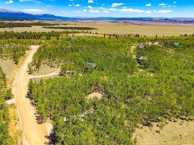 2346 High Creek Rd, Fairplay, CO 80440 - photo 49