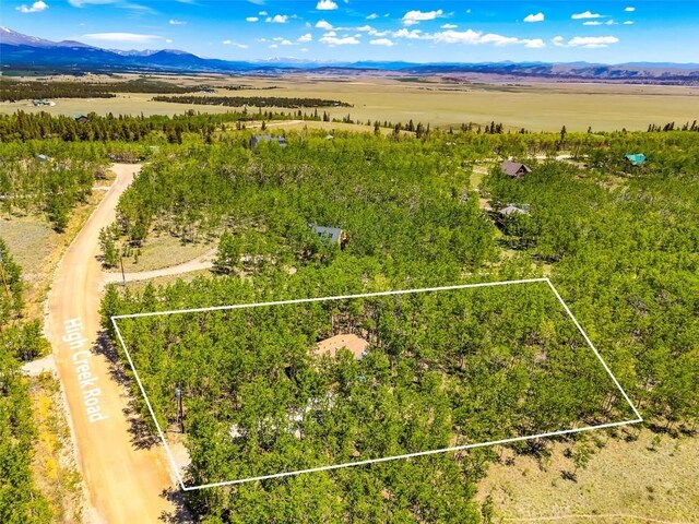 2346 High Creek Rd, Fairplay, CO 80440 - photo 12