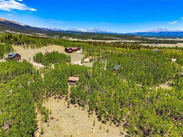 2346 High Creek Rd, Fairplay, CO 80440 - photo 50