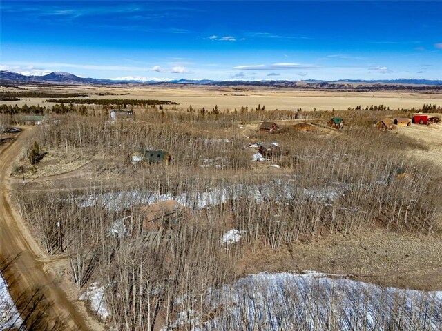 2346 High Creek Rd, Fairplay, CO 80440 - photo 23