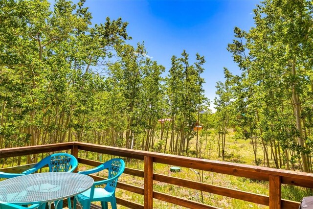 2346 High Creek Rd, Fairplay, CO 80440 - photo 18