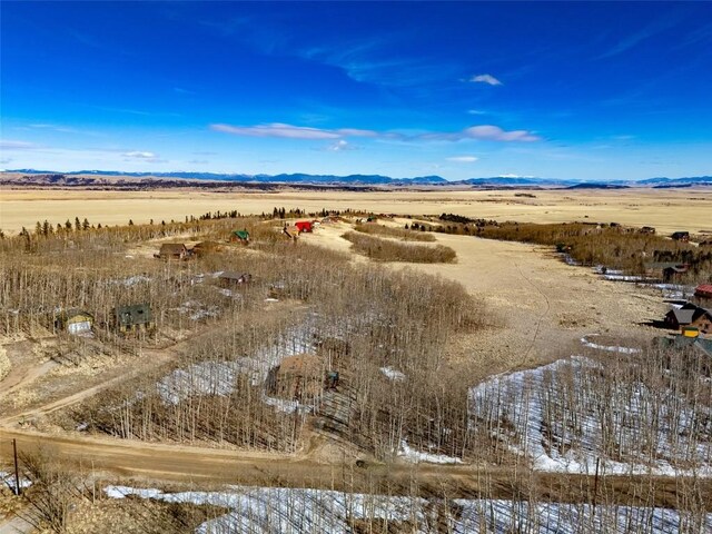 2346 High Creek Rd, Fairplay, CO 80440 - photo 24